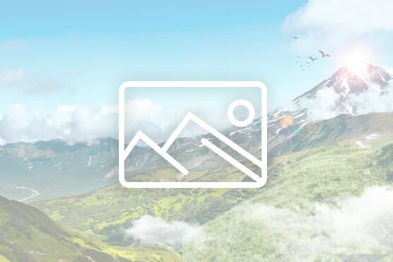 宜宾工业职业技术学院基建后勤处2025年合同制职员招聘公告